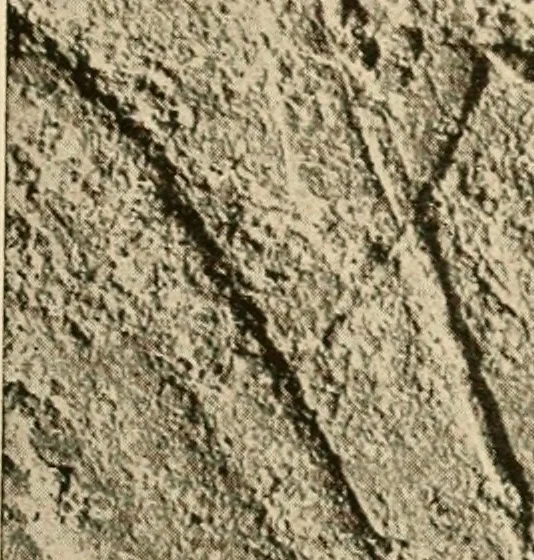 An illustration from Die Plastik der Ägypter, 1922, leaf 204