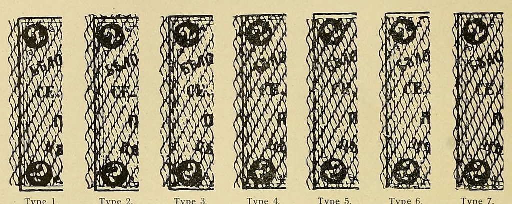 An illustration from Die Postwertzeichen der russischen Landschaftsaemter : Beitraege zur Kunde dieser Marken, 1900, leaf 86