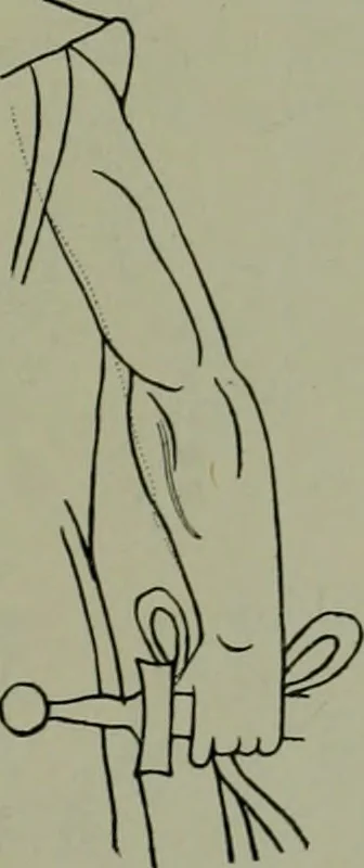 An illustration from Die praenestinischen Spiegel, ein Beitrag zur italischen Kunst- und Kulturgeschichte, 1912, leaf 144