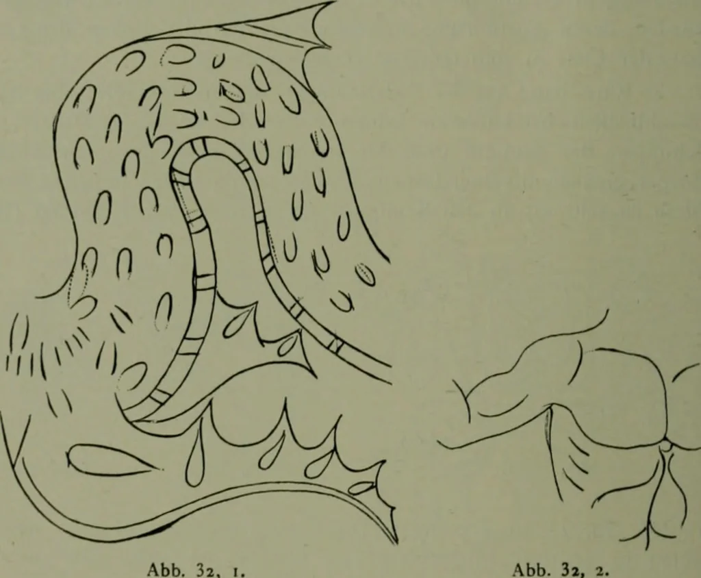 An illustration from Die praenestinischen Spiegel, ein Beitrag zur italischen Kunst- und Kulturgeschichte, 1912, leaf 147