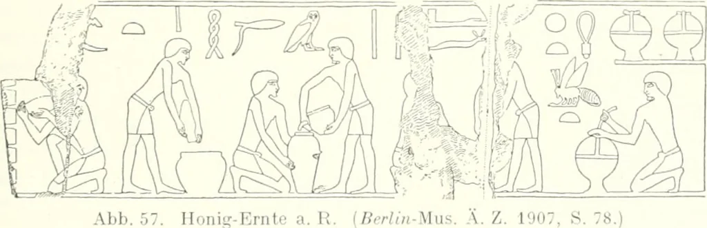An illustration from Die Reliefs und Malereien des mittleren Reiches (VII.-XVII. Dynastie, ca. 2475-1580 v. Chr.) : Material zur agyptischen Kulturgeschichte, 1922, leaf 101
