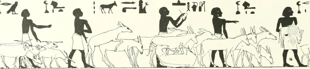 An illustration from Die Reliefs und Malereien des mittleren Reiches (VII.-XVII. Dynastie, ca. 2475-1580 v. Chr.) : Material zur agyptischen Kulturgeschichte, 1922, leaf 104