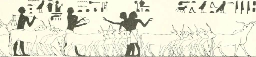 An illustration from Die Reliefs und Malereien des mittleren Reiches (VII.-XVII. Dynastie, ca. 2475-1580 v. Chr.) : Material zur agyptischen Kulturgeschichte, 1922, leaf 105