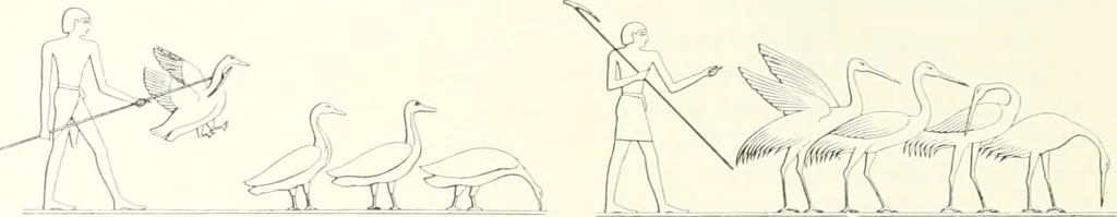 An illustration from Die Reliefs und Malereien des mittleren Reiches (VII.-XVII. Dynastie, ca. 2475-1580 v. Chr.) : Material zur agyptischen Kulturgeschichte, 1922, leaf 116