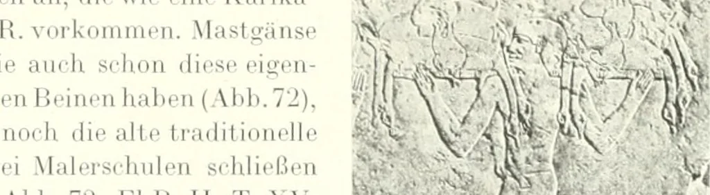 An illustration from Die Reliefs und Malereien des mittleren Reiches (VII.-XVII. Dynastie, ca. 2475-1580 v. Chr.) : Material zur agyptischen Kulturgeschichte, 1922, leaf 121