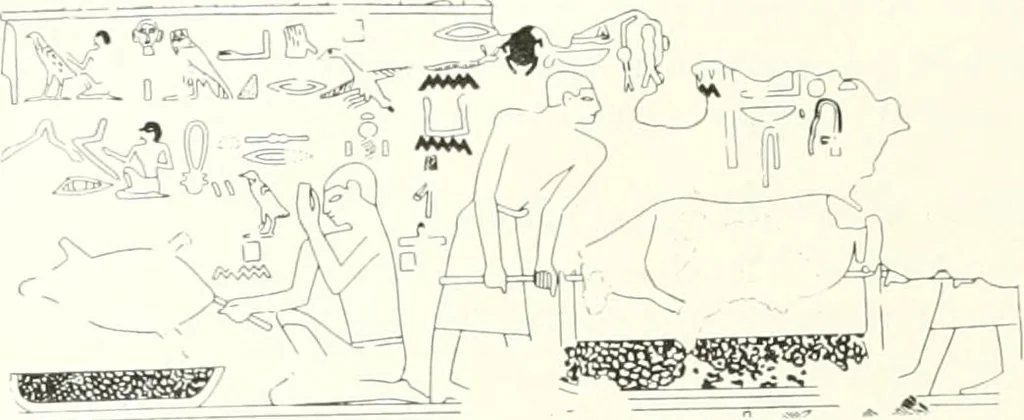 An illustration from Die Reliefs und Malereien des mittleren Reiches (VII.-XVII. Dynastie, ca. 2475-1580 v. Chr.) : Material zur agyptischen Kulturgeschichte, 1922, leaf 122
