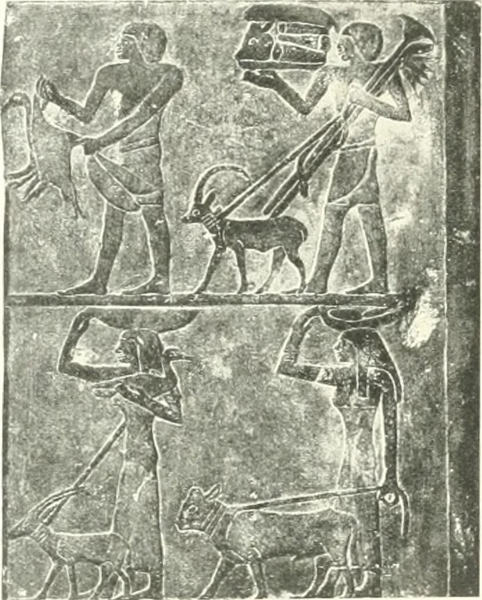 An illustration from Die Reliefs und Malereien des mittleren Reiches (VII.-XVII. Dynastie, ca. 2475-1580 v. Chr.) : Material zur agyptischen Kulturgeschichte, 1922, leaf 200