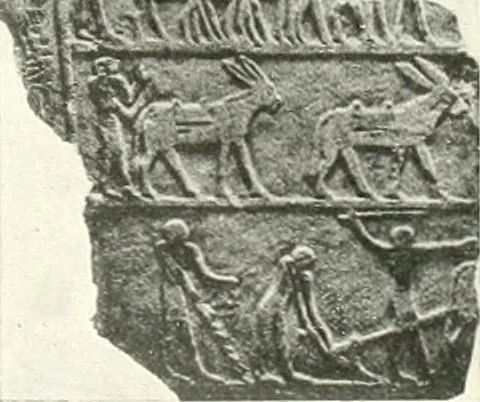 An illustration from Die Reliefs und Malereien des mittleren Reiches (VII.-XVII. Dynastie, ca. 2475-1580 v. Chr.) : Material zur agyptischen Kulturgeschichte, 1922, leaf 90