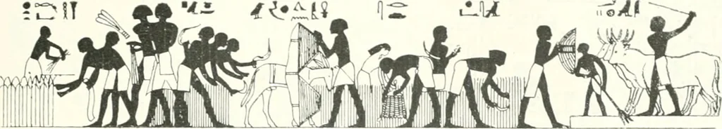 An illustration from Die Reliefs und Malereien des mittleren Reiches (VII.-XVII. Dynastie, ca. 2475-1580 v. Chr.) : Material zur agyptischen Kulturgeschichte, 1922, leaf 91