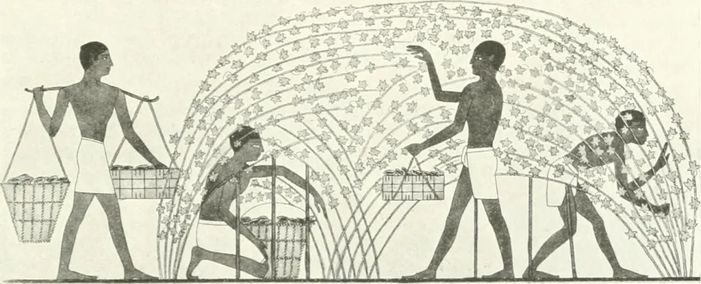 An illustration from Die Reliefs und Malereien des mittleren Reiches (VII.-XVII. Dynastie, ca. 2475-1580 v. Chr.) : Material zur agyptischen Kulturgeschichte, 1922, leaf 97