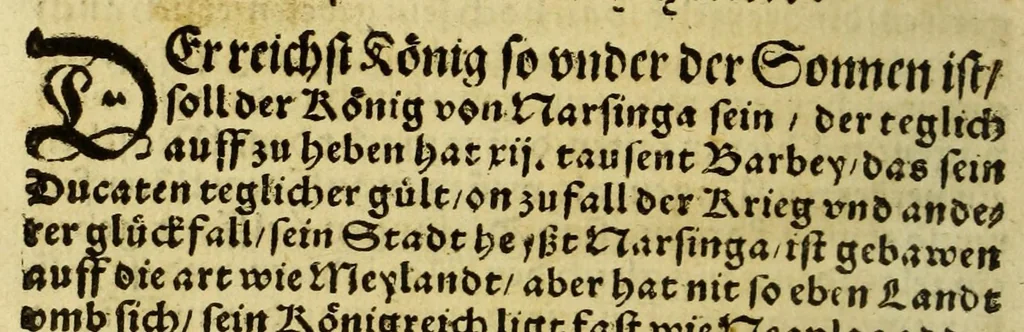 An illustration from Die ritterliche vnnd lobwirdige Reyss, des gestrengen vnd vber all ander weit erfarne Ritter, vnnd Landtfahrer, Herrn Ludovico Vartomans von Bolonia, sagend von den Landen Egypto, Syria, von beiden Arabia, Persia, India, vnd Ethiopia ., 1548, leaf 102
