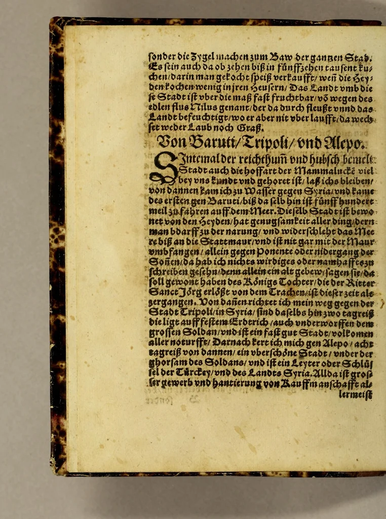 An illustration from Die ritterliche vnnd lobwirdige Reyss, des gestrengen vnd vber all ander weit erfarne Ritter, vnnd Landtfahrer, Herrn Ludovico Vartomans von Bolonia, sagend von den Landen Egypto, Syria, von beiden Arabia, Persia, India, vnd Ethiopia ., 1548, leaf 14