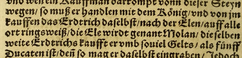 An illustration from Die ritterliche vnnd lobwirdige Reyss, des gestrengen vnd vber all ander weit erfarne Ritter, vnnd Landtfahrer, Herrn Ludovico Vartomans von Bolonia, sagend von den Landen Egypto, Syria, von beiden Arabia, Persia, India, vnd Ethiopia ., 1548, leaf 144