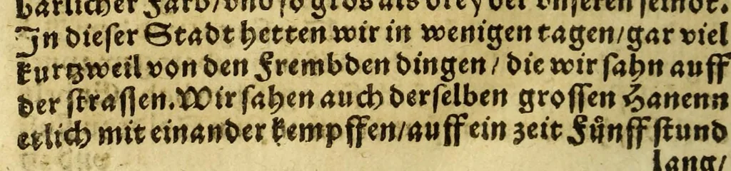 An illustration from Die ritterliche vnnd lobwirdige Reyss, des gestrengen vnd vber all ander weit erfarne Ritter, vnnd Landtfahrer, Herrn Ludovico Vartomans von Bolonia, sagend von den Landen Egypto, Syria, von beiden Arabia, Persia, India, vnd Ethiopia ., 1548, leaf 148