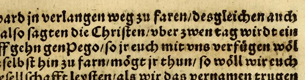 An illustration from Die ritterliche vnnd lobwirdige Reyss, des gestrengen vnd vber all ander weit erfarne Ritter, vnnd Landtfahrer, Herrn Ludovico Vartomans von Bolonia, sagend von den Landen Egypto, Syria, von beiden Arabia, Persia, India, vnd Ethiopia ., 1548, leaf 159