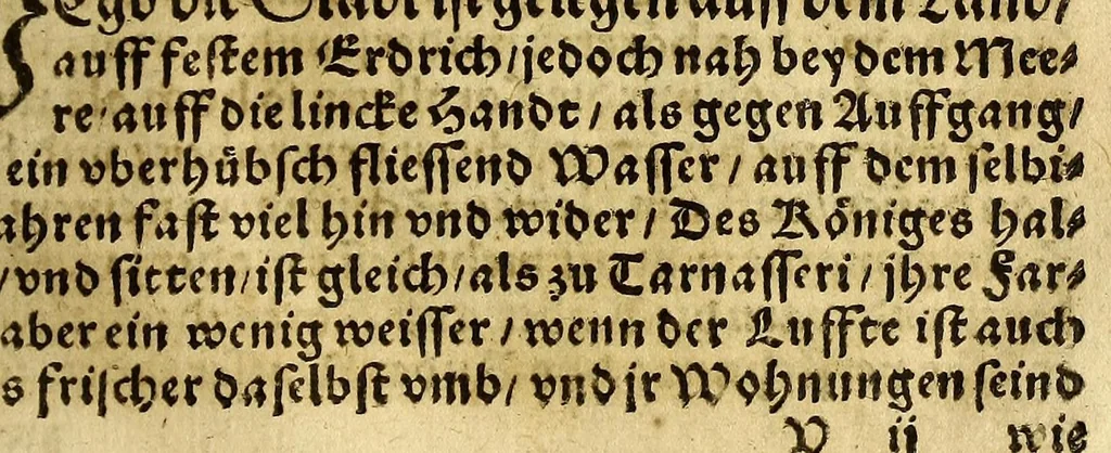 An illustration from Die ritterliche vnnd lobwirdige Reyss, des gestrengen vnd vber all ander weit erfarne Ritter, vnnd Landtfahrer, Herrn Ludovico Vartomans von Bolonia, sagend von den Landen Egypto, Syria, von beiden Arabia, Persia, India, vnd Ethiopia ., 1548, leaf 159