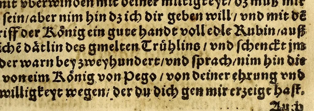 An illustration from Die ritterliche vnnd lobwirdige Reyss, des gestrengen vnd vber all ander weit erfarne Ritter, vnnd Landtfahrer, Herrn Ludovico Vartomans von Bolonia, sagend von den Landen Egypto, Syria, von beiden Arabia, Persia, India, vnd Ethiopia ., 1548, leaf 163