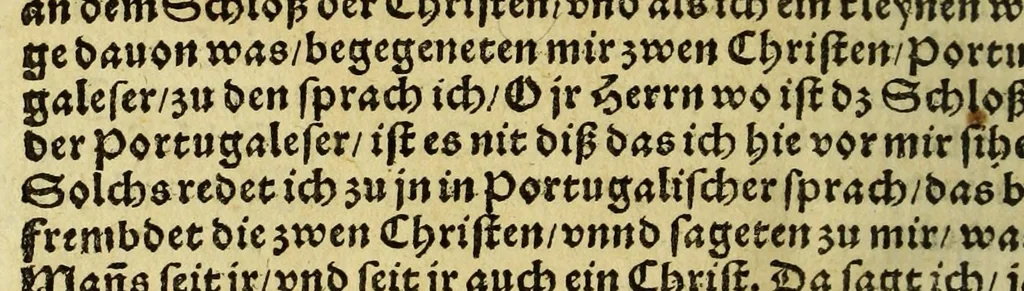 An illustration from Die ritterliche vnnd lobwirdige Reyss, des gestrengen vnd vber all ander weit erfarne Ritter, vnnd Landtfahrer, Herrn Ludovico Vartomans von Bolonia, sagend von den Landen Egypto, Syria, von beiden Arabia, Persia, India, vnd Ethiopia ., 1548, leaf 198