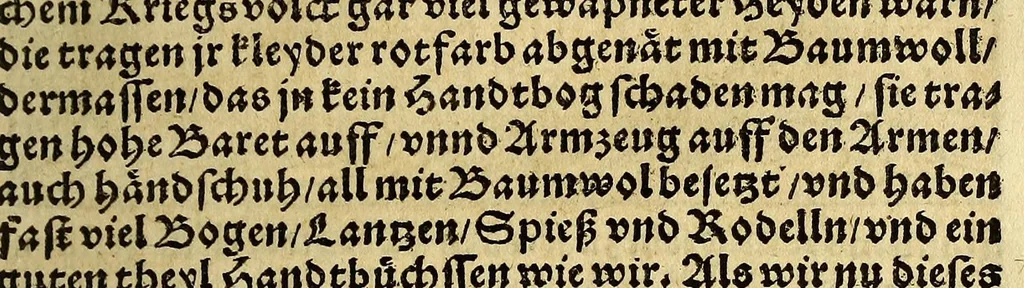An illustration from Die ritterliche vnnd lobwirdige Reyss, des gestrengen vnd vber all ander weit erfarne Ritter, vnnd Landtfahrer, Herrn Ludovico Vartomans von Bolonia, sagend von den Landen Egypto, Syria, von beiden Arabia, Persia, India, vnd Ethiopia ., 1548, leaf 203
