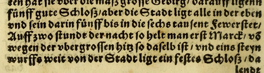 An illustration from Die ritterliche vnnd lobwirdige Reyss, des gestrengen vnd vber all ander weit erfarne Ritter, vnnd Landtfahrer, Herrn Ludovico Vartomans von Bolonia, sagend von den Landen Egypto, Syria, von beiden Arabia, Persia, India, vnd Ethiopia ., 1548, leaf 52