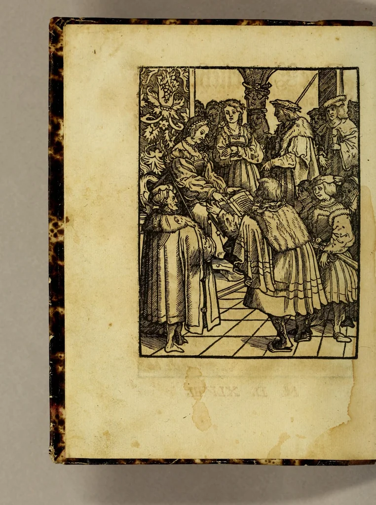An illustration from Die ritterliche vnnd lobwirdige Reyss, des gestrengen vnd vber all ander weit erfarne Ritter, vnnd Landtfahrer, Herrn Ludovico Vartomans von Bolonia, sagend von den Landen Egypto, Syria, von beiden Arabia, Persia, India, vnd Ethiopia ., 1548, leaf 6