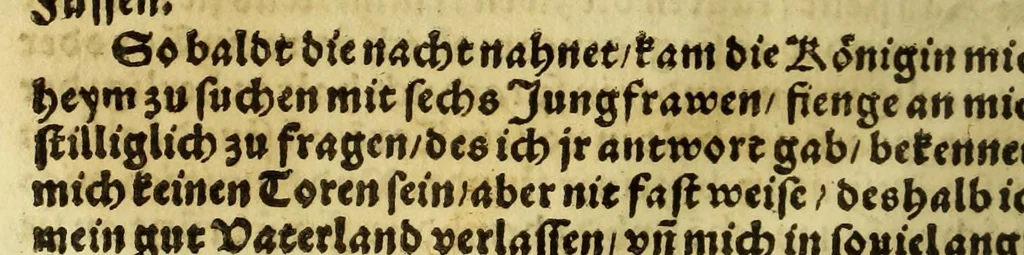 An illustration from Die ritterliche vnnd lobwirdige Reyss, des gestrengen vnd vber all ander weit erfarne Ritter, vnnd Landtfahrer, Herrn Ludovico Vartomans von Bolonia, sagend von den Landen Egypto, Syria, von beiden Arabia, Persia, India, vnd Ethiopia ., 1548, leaf 60