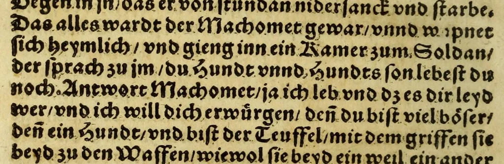 An illustration from Die ritterliche vnnd lobwirdige Reyss, des gestrengen vnd vber all ander weit erfarne Ritter, vnnd Landtfahrer, Herrn Ludovico Vartomans von Bolonia, sagend von den Landen Egypto, Syria, von beiden Arabia, Persia, India, vnd Ethiopia ., 1548, leaf 80