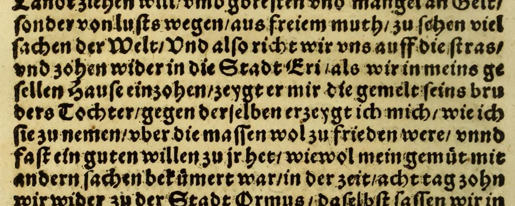 An illustration from Die ritterliche vnnd lobwirdige Reyss, des gestrengen vnd vber all ander weit erfarne Ritter, vnnd Landtfahrer, Herrn Ludovico Vartomans von Bolonia, sagend von den Landen Egypto, Syria, von beiden Arabia, Persia, India, vnd Ethiopia ., 1548, leaf 84