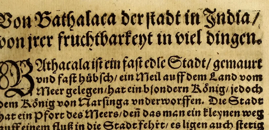 An illustration from Die ritterliche vnnd lobwirdige Reyss, des gestrengen vnd vber all ander weit erfarne Ritter, vnnd Landtfahrer, Herrn Ludovico Vartomans von Bolonia, sagend von den Landen Egypto, Syria, von beiden Arabia, Persia, India, vnd Ethiopia ., 1548, leaf 95
