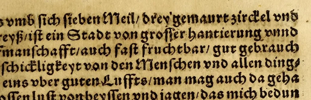 An illustration from Die ritterliche vnnd lobwirdige Reyss, des gestrengen vnd vber all ander weit erfarne Ritter, vnnd Landtfahrer, Herrn Ludovico Vartomans von Bolonia, sagend von den Landen Egypto, Syria, von beiden Arabia, Persia, India, vnd Ethiopia ., 1548, leaf 99