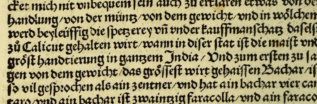 An illustration from Die ritterlich vnd lobwirdig Raiss des gestre[n]gen vnd über all ander weyt erfarnen Ritters vn[d] Landtfarers, Herren Ludowico Vartomans von Bolonia. Sagent vo[n] den Landen Egipto. Syria, vo[n] bayden Arabia. Persia. India. vn[d] Ethiopia ., 1518, leaf 118