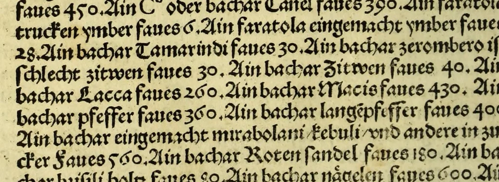 An illustration from Die ritterlich vnd lobwirdig Raiss des gestre[n]gen vnd über all ander weyt erfarnen Ritters vn[d] Landtfarers, Herren Ludowico Vartomans von Bolonia. Sagent vo[n] den Landen Egipto. Syria, vo[n] bayden Arabia. Persia. India. vn[d] Ethiopia ., 1518, leaf 118