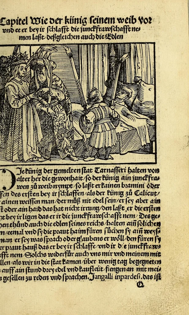 An illustration from Die ritterlich vnd lobwirdig Raiss des gestre[n]gen vnd über all ander weyt erfarnen Ritters vn[d] Landtfarers, Herren Ludowico Vartomans von Bolonia. Sagent vo[n] den Landen Egipto. Syria, vo[n] bayden Arabia. Persia. India. vn[d] Ethiopia ., 1518, leaf 129