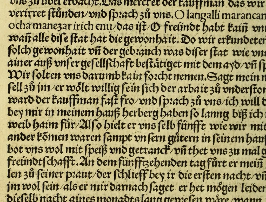 An illustration from Die ritterlich vnd lobwirdig Raiss des gestre[n]gen vnd über all ander weyt erfarnen Ritters vn[d] Landtfarers, Herren Ludowico Vartomans von Bolonia. Sagent vo[n] den Landen Egipto. Syria, vo[n] bayden Arabia. Persia. India. vn[d] Ethiopia ., 1518, leaf 130