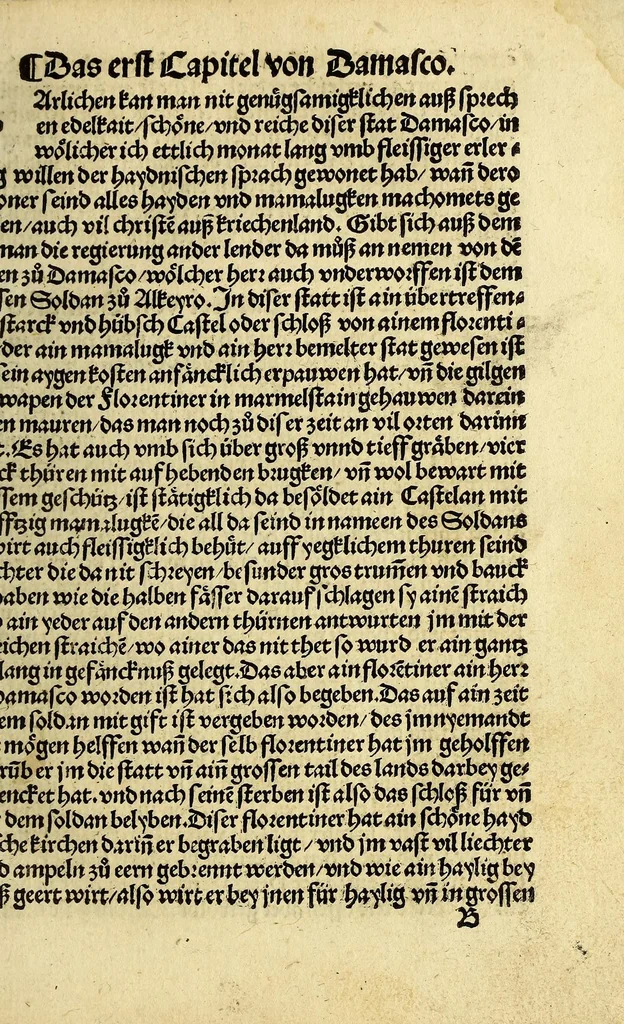 An illustration from Die ritterlich vnd lobwirdig Raiss des gestre[n]gen vnd über all ander weyt erfarnen Ritters vn[d] Landtfarers, Herren Ludowico Vartomans von Bolonia. Sagent vo[n] den Landen Egipto. Syria, vo[n] bayden Arabia. Persia. India. vn[d] Ethiopia ., 1518, leaf 17
