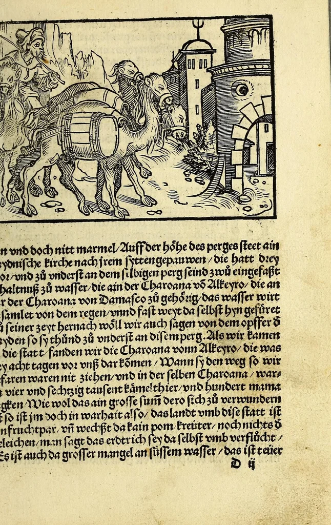 An illustration from Die ritterlich vnd lobwirdig Raiss des gestre[n]gen vnd über all ander weyt erfarnen Ritters vn[d] Landtfarers, Herren Ludowico Vartomans von Bolonia. Sagent vo[n] den Landen Egipto. Syria, vo[n] bayden Arabia. Persia. India. vn[d] Ethiopia ., 1518, leaf 35