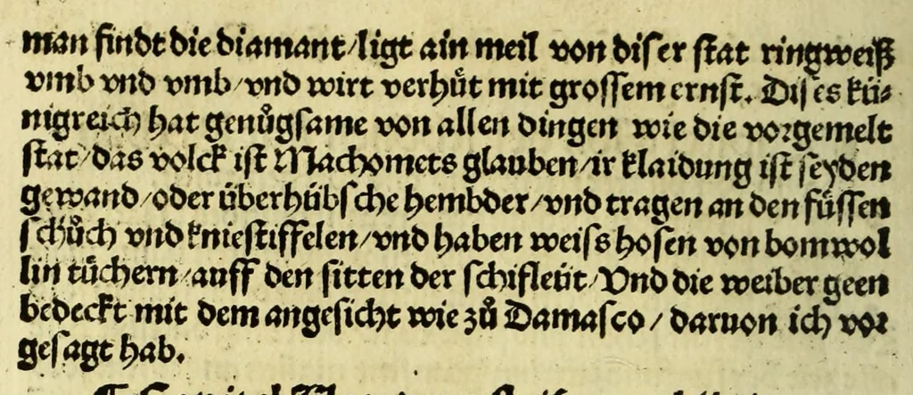 An illustration from Die ritterlich vnd lobwirdig Raiss des gestre[n]gen vnd über all ander weyt erfarnen Ritters vn[d] Landtfarers, Herren Ludowico Vartomans von Bolonia. Sagent vo[n] den Landen Egipto. Syria, vo[n] bayden Arabia. Persia. India. vn[d] Ethiopia ., 1518, leaf 82