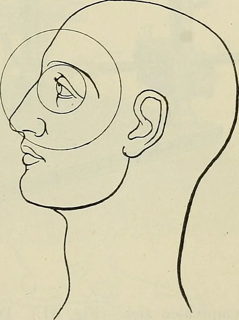 An illustration from Die Röntgentechnik : Lehrbuch für Ärzte und Studierende, 1906, leaf 206
