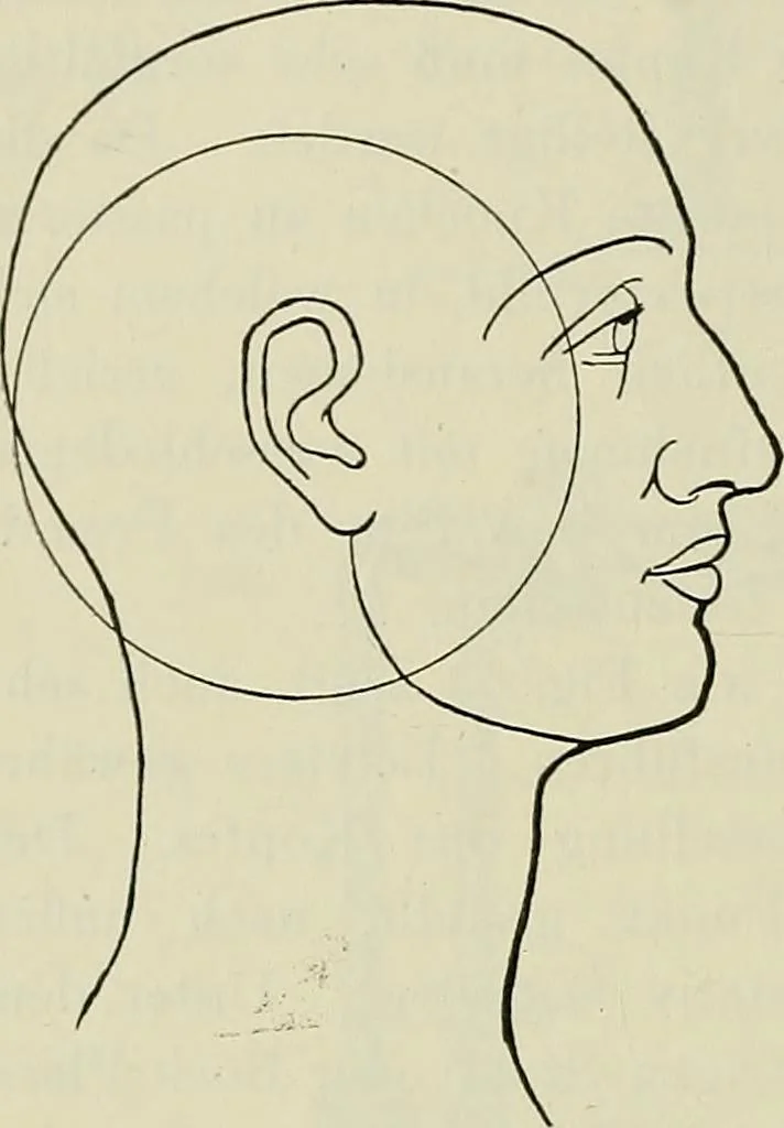 An illustration from Die Röntgentechnik : Lehrbuch für Ärzte und Studierende, 1906, leaf 211
