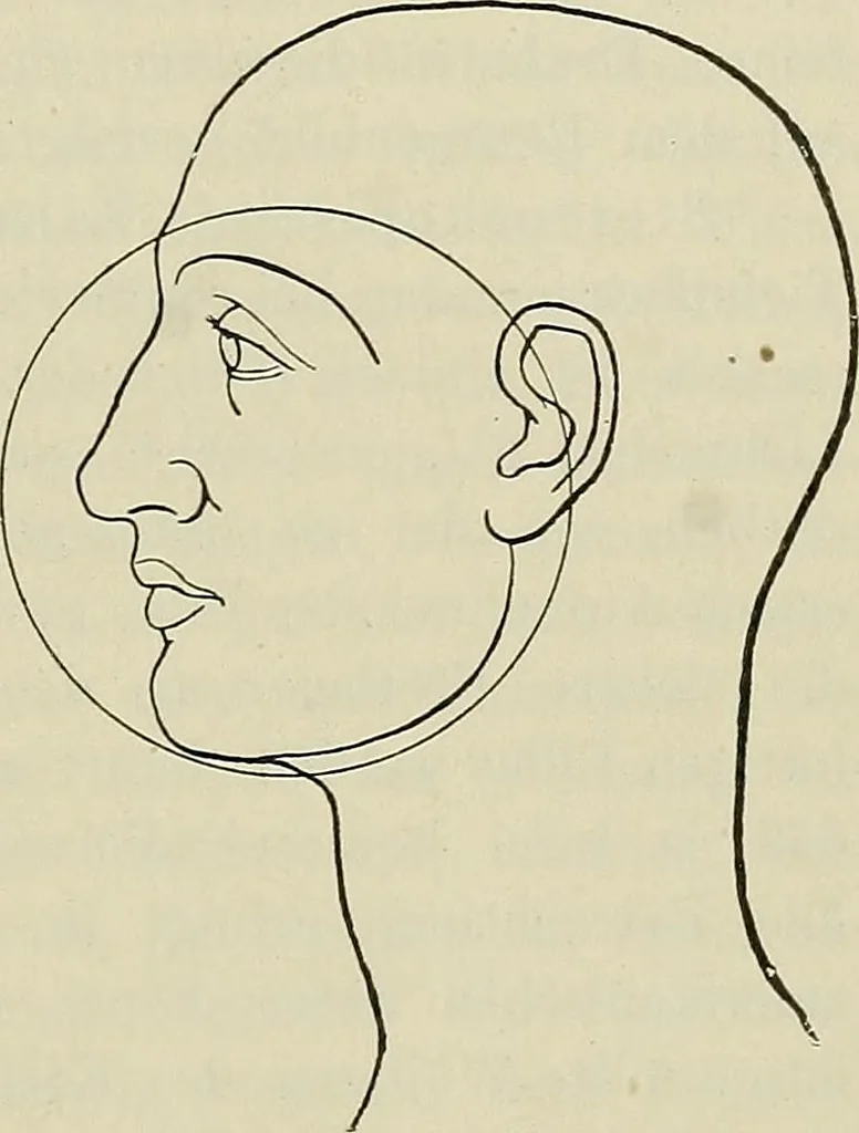 An illustration from Die Röntgentechnik : Lehrbuch für Ärzte und Studierende, 1906, leaf 224