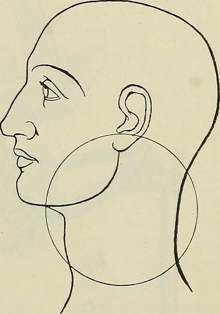 An illustration from Die Röntgentechnik : Lehrbuch für Ärzte und Studierende, 1906, leaf 228