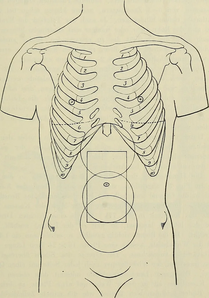 An illustration from Die Röntgentechnik : Lehrbuch für Ärzte und Studierende, 1906, leaf 238