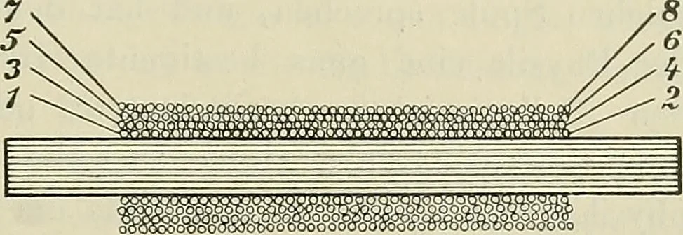 An illustration from Die Röntgentechnik : Lehrbuch für Ärzte und Studierende, 1906, leaf 24