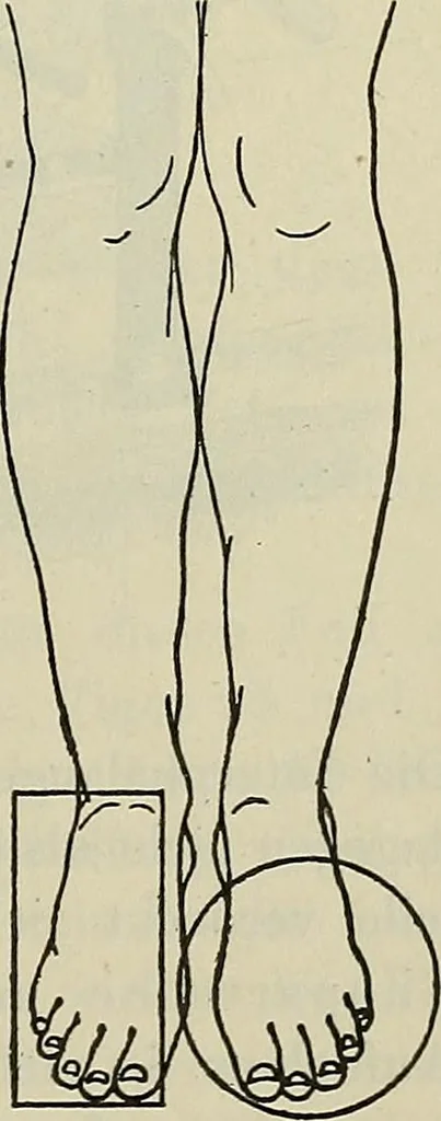 An illustration from Die Röntgentechnik : Lehrbuch für Ärzte und Studierende, 1906, leaf 272