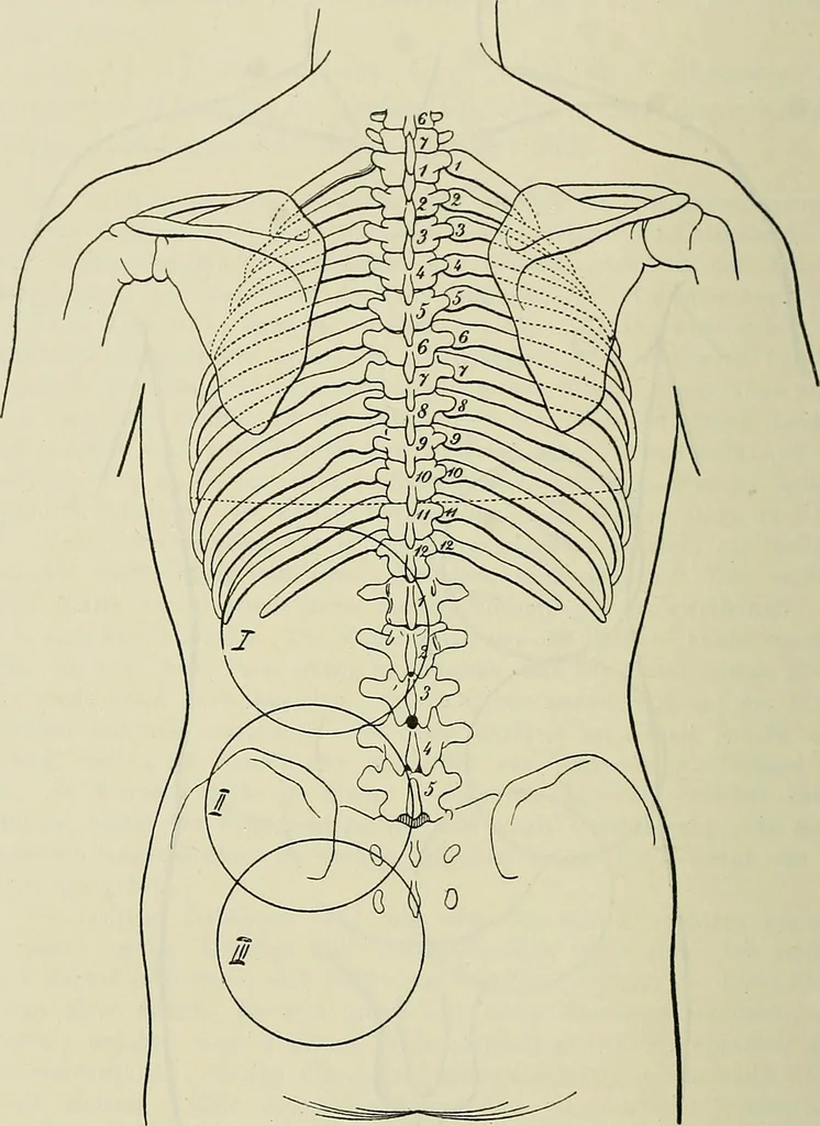 An illustration from Die Röntgentechnik : Lehrbuch für Ärzte und Studierende, 1906, leaf 307