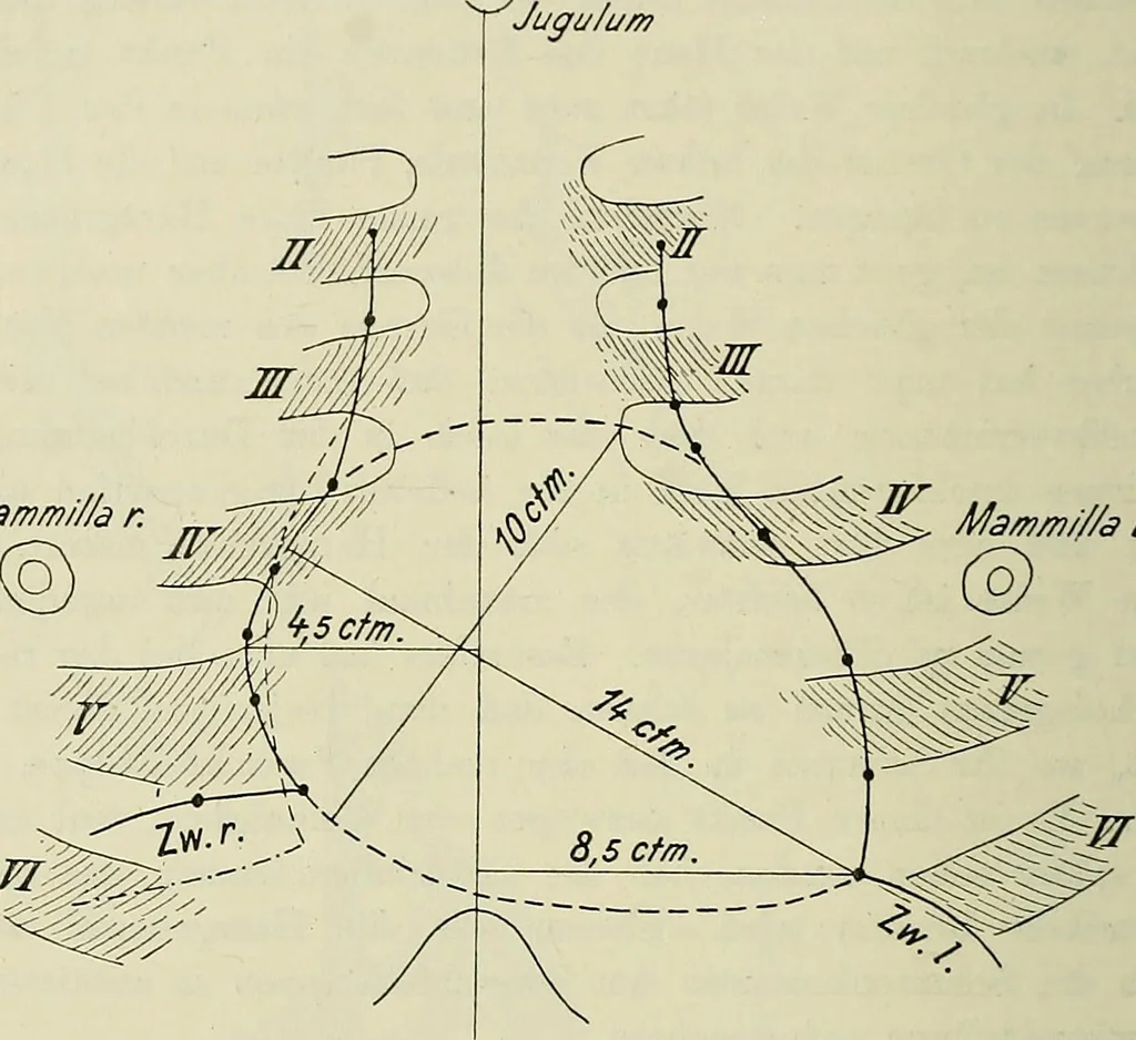 An illustration from Die Röntgentechnik : Lehrbuch für Ärzte und Studierende, 1906, leaf 395