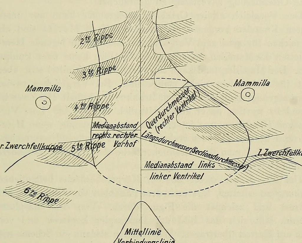 An illustration from Die Röntgentechnik : Lehrbuch für Ärzte und Studierende, 1906, leaf 396