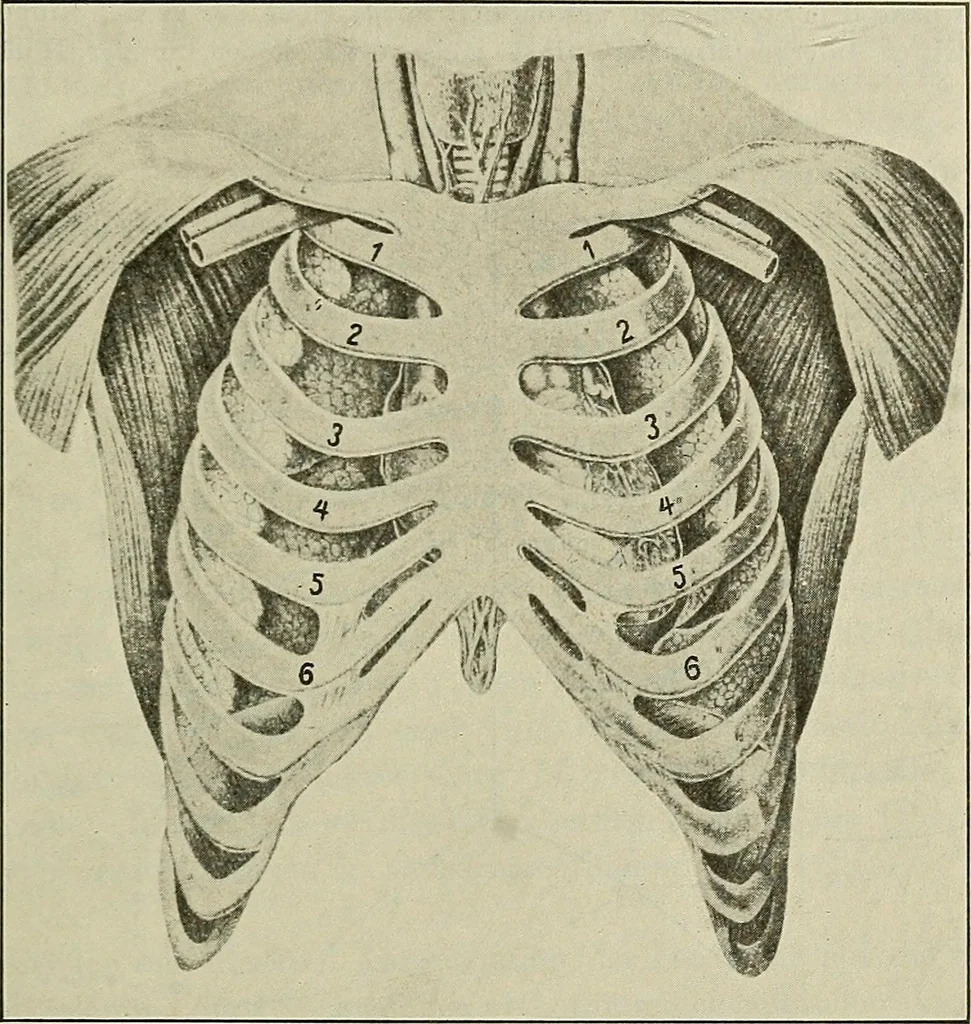 An illustration from Die Röntgentechnik : Lehrbuch für Ärzte und Studierende, 1906, leaf 404