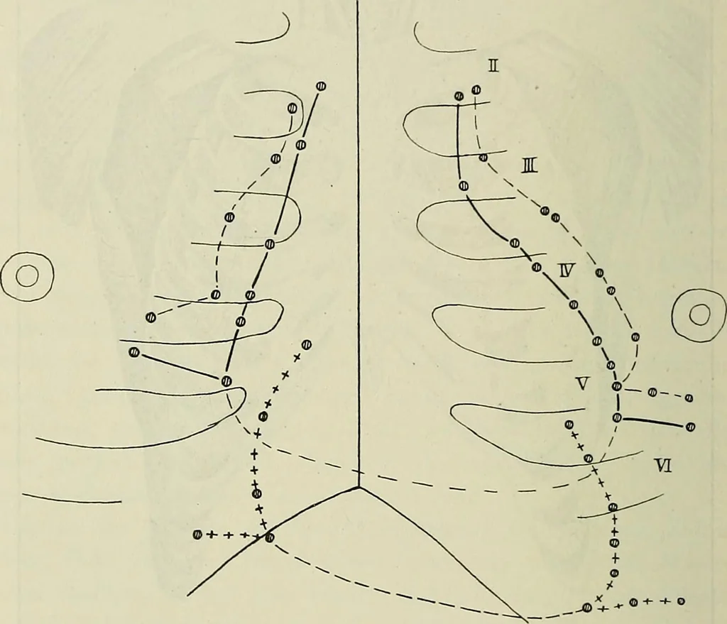 An illustration from Die Röntgentechnik : Lehrbuch für Ärzte und Studierende, 1906, leaf 405