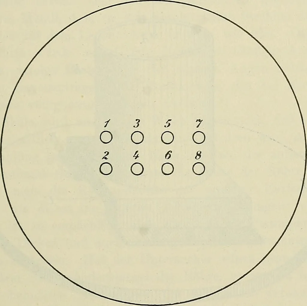 An illustration from Die Röntgentechnik : Lehrbuch für Ärzte und Studierende, 1906, leaf 54